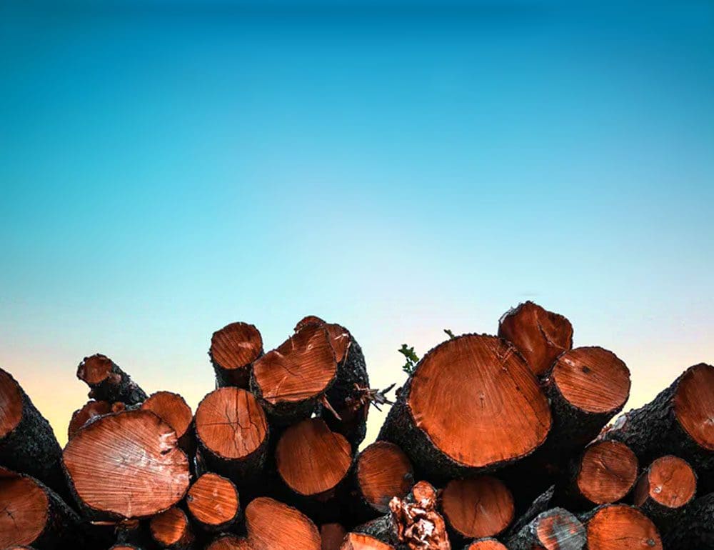 lumber company header image - JLB, Best Web Design and Web Development Company in Nashville, Brentwood, and Franklin