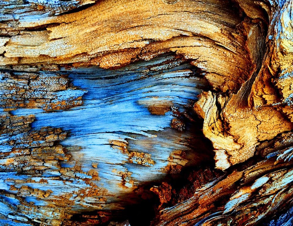 good wood header image - JLB, Best Web Design and Web Development Company in Nashville, Brentwood, and Franklin