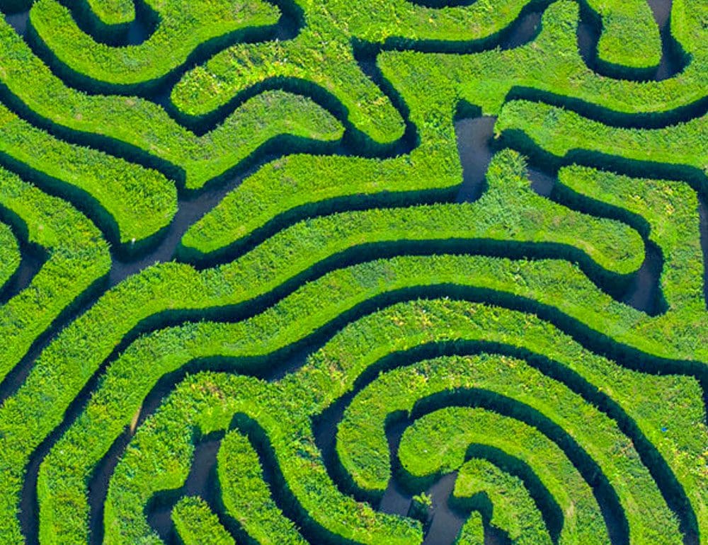 hedgerow funds header image - JLB, Best Web Design and Web Development Company in Nashville, Brentwood, and Franklin