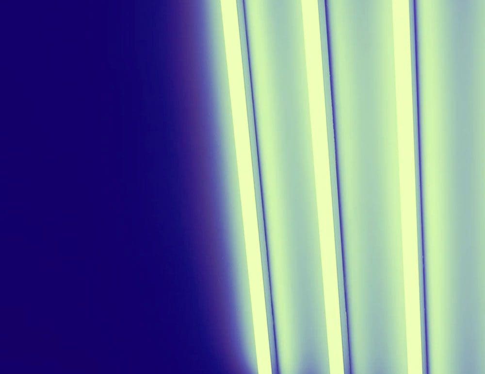 SFEG header image - JLB, Best Web Design and Web Development Company in Nashville, Brentwood, and Franklin