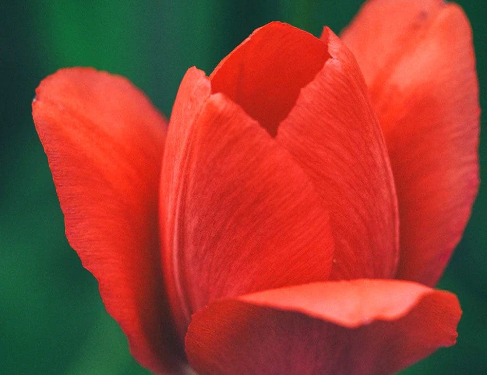 psychology header image - JLB, Best Web Design and Web Development Company in Nashville, Brentwood, and Franklin